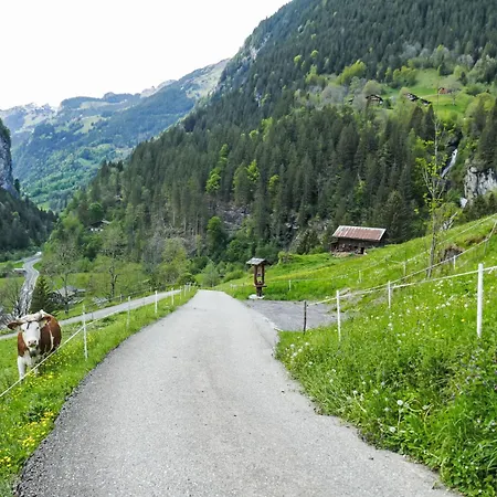 Auf Dem Vogelstein-3 By Interhome Appartement *