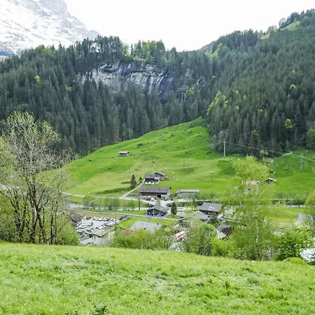 Auf Dem Vogelstein-3 By Interhome * Grindelwald