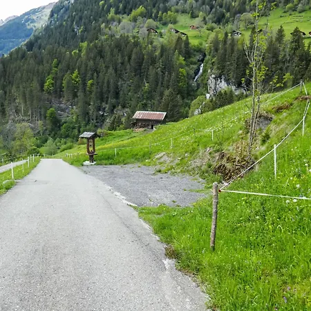 Auf Dem Vogelstein-3 By Interhome Appartement Grindelwald